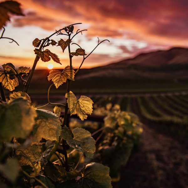 A beautiful shot of a large agricultural field in the countryside with hills and amazing cloudy sky